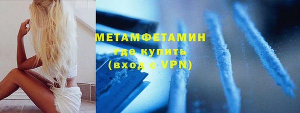 ПСИЛОЦИБИНОВЫЕ ГРИБЫ Гусь-Хрустальный