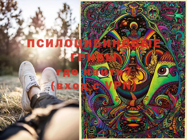 каннабис Гусиноозёрск