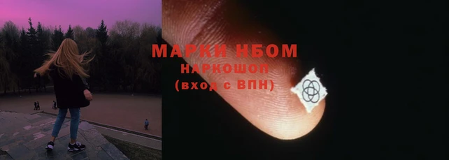 ПСИЛОЦИБИНОВЫЕ ГРИБЫ Гусь-Хрустальный