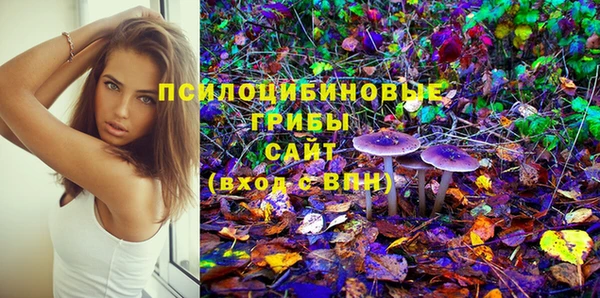 ПСИЛОЦИБИНОВЫЕ ГРИБЫ Гусь-Хрустальный