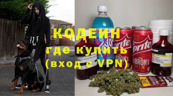 ПСИЛОЦИБИНОВЫЕ ГРИБЫ Гусь-Хрустальный