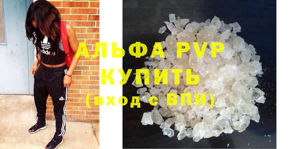 ПСИЛОЦИБИНОВЫЕ ГРИБЫ Гусь-Хрустальный
