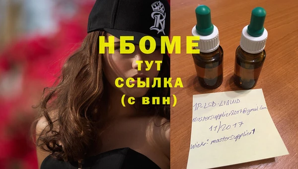 ПСИЛОЦИБИНОВЫЕ ГРИБЫ Гусь-Хрустальный