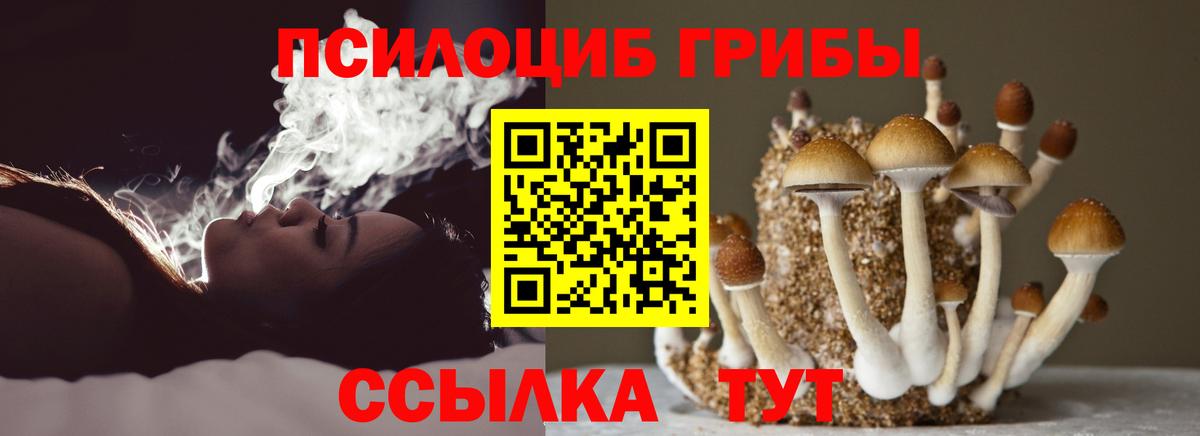 Псилоцибиновые грибы Psilocybe  Вход с VPN  купить   Галлюциногенные грибы GOLDEN TEACHER  Ивантеевка 