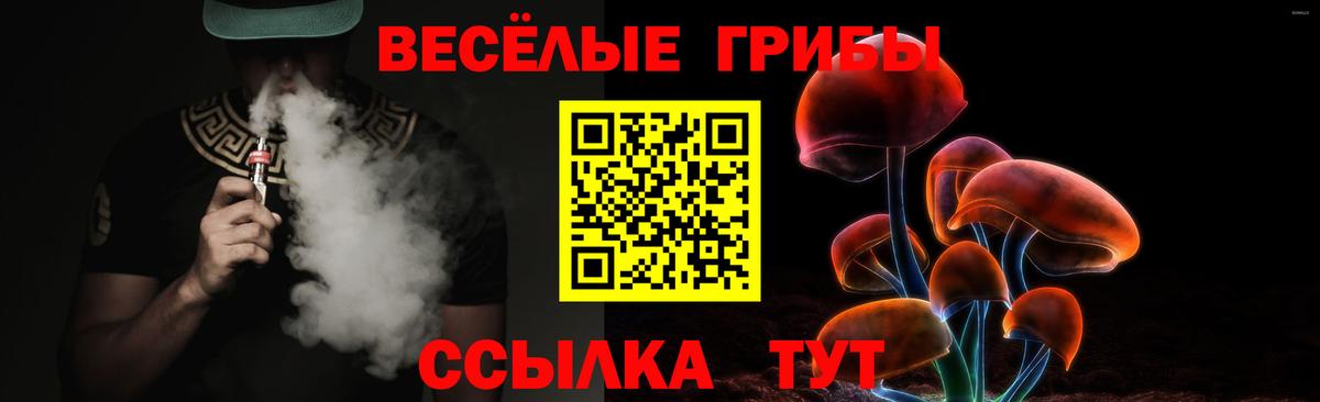 Псилоцибиновые грибы прущие грибы  Ивантеевка 